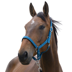 Norton - Licol Satine bleu canard | - Ohlala