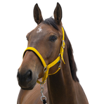 Norton - Licol Satine miel | - Ohlala