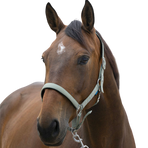 Norton - Licol Satine olive | - Ohlala