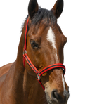 Norton - Licol Satine rouge/ noir | - Ohlala