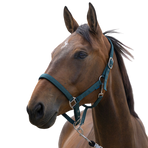 Norton - Licol Satine vert foncé | - Ohlala