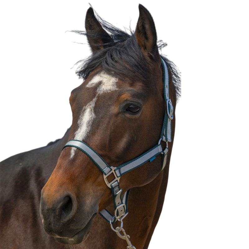Norton - Soft nylon Halter dark green | - Ohlala