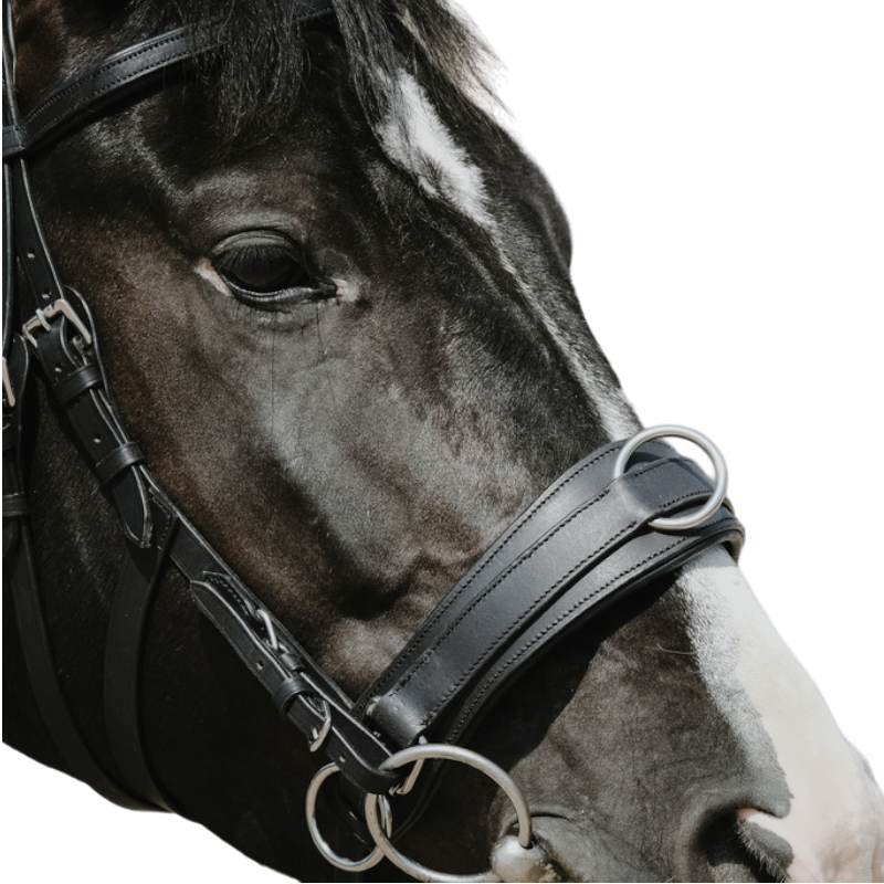 Norton - Wide Black Cavesson | - Ohlala