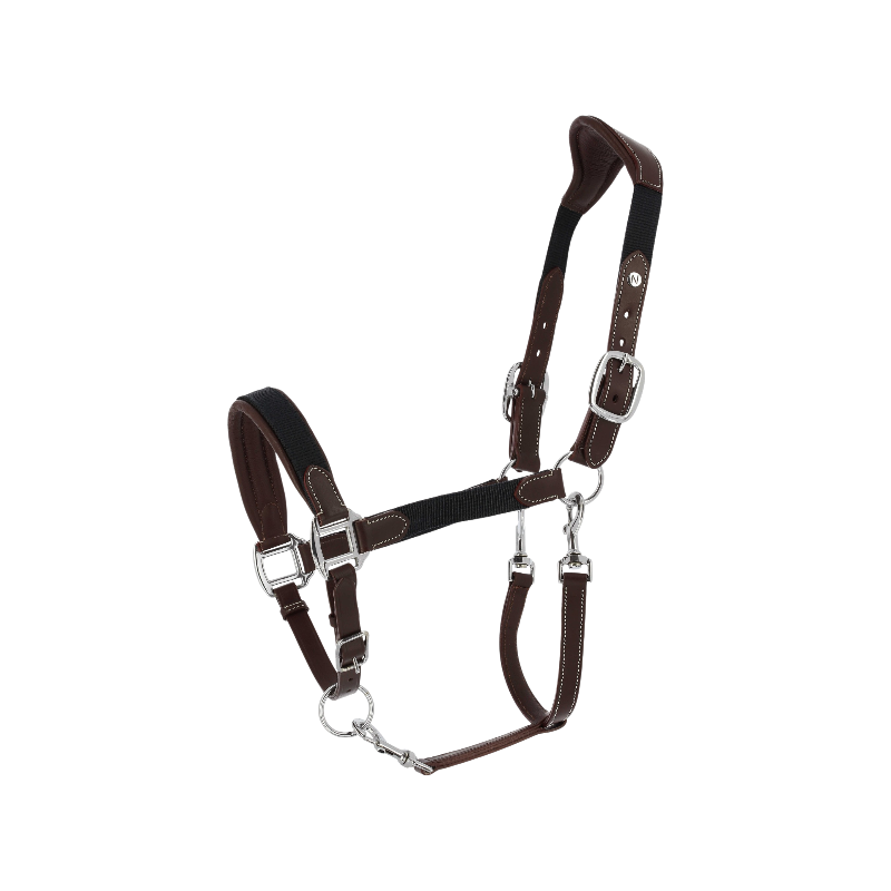 Norton - Licol Dualy havane/marine