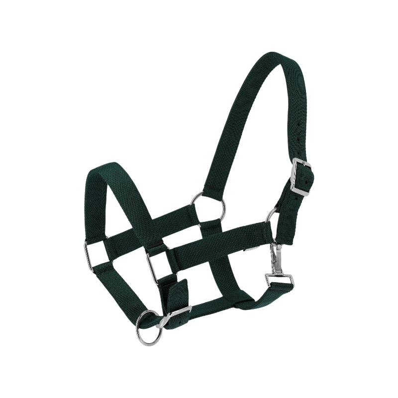 Norton - Licol Extra vert foncé