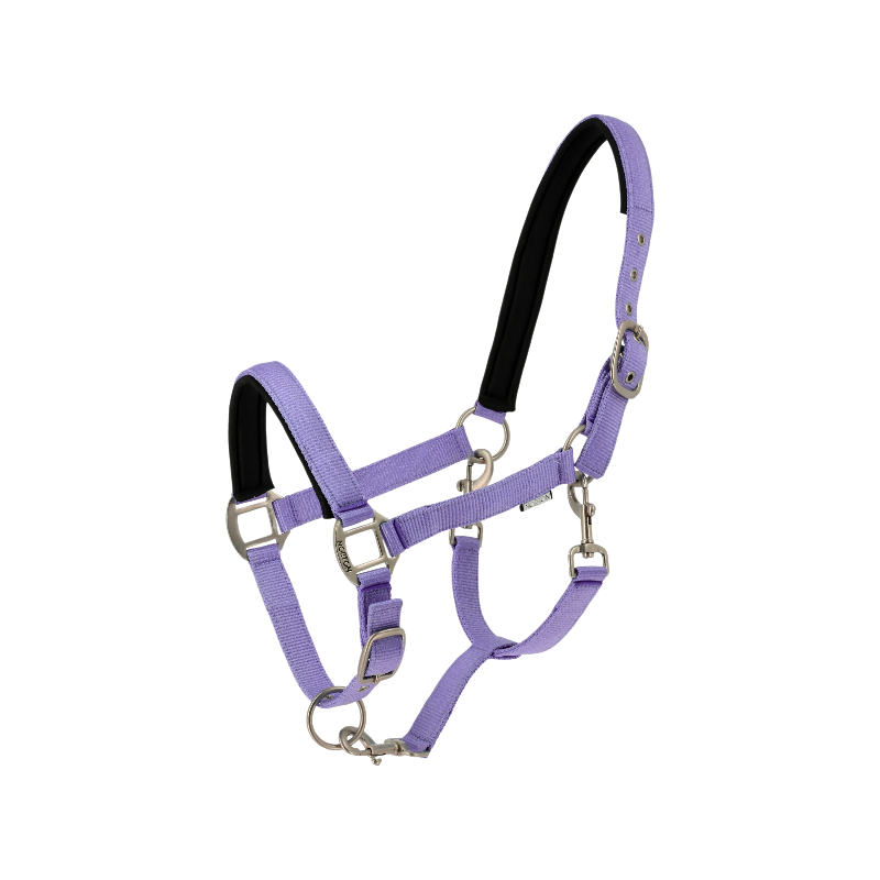 Norton - Licol Nacre Bleu