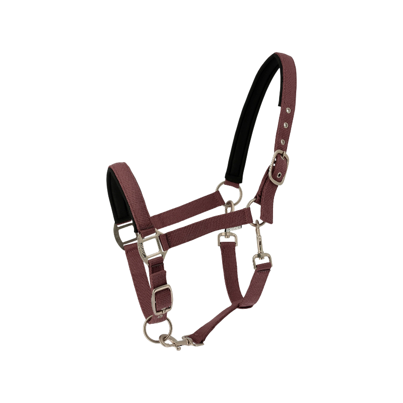 Norton - Licol Nacre Bordeaux