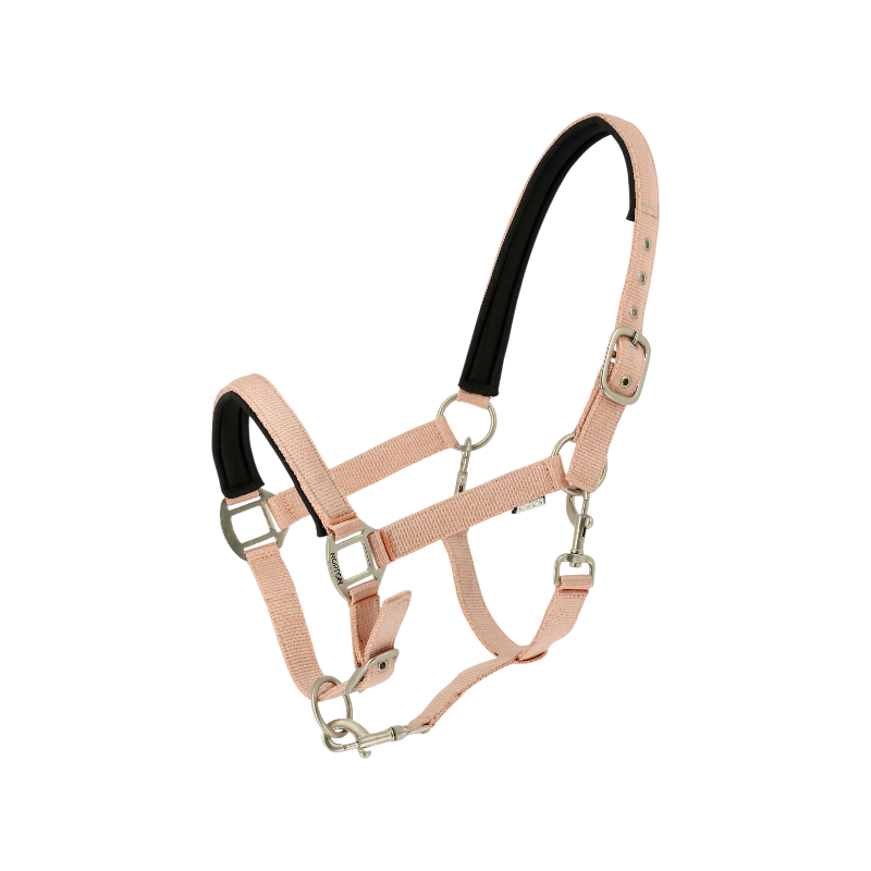 Norton - Licol Nacre Bronze