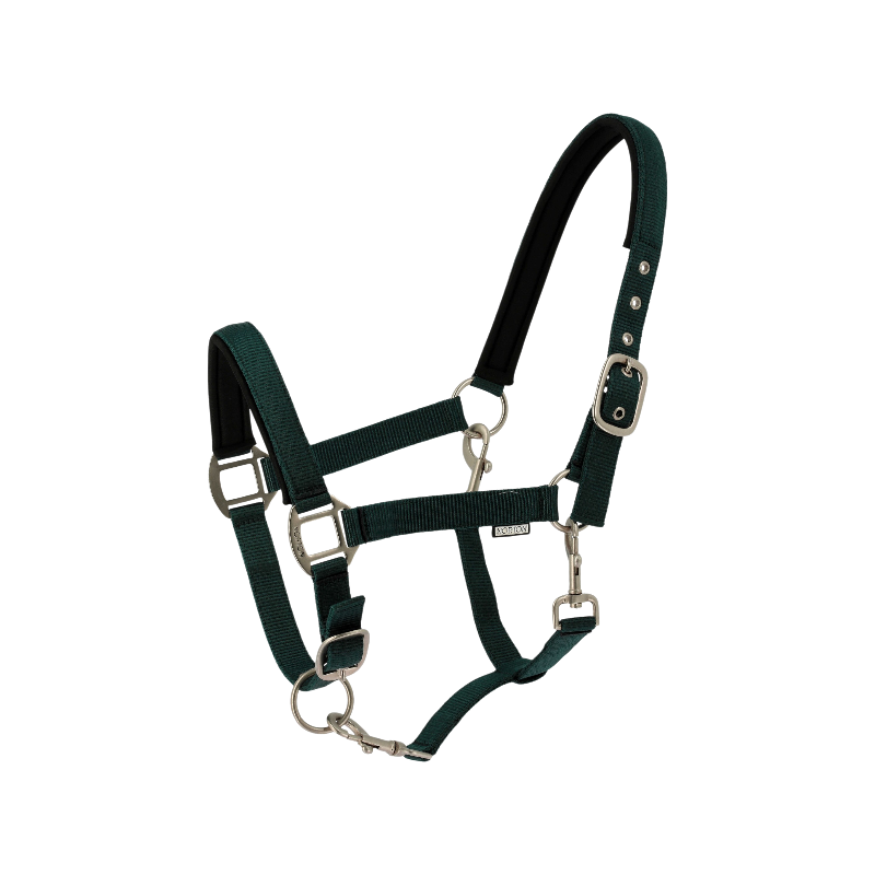 Norton - Licol Nacre vert foncé