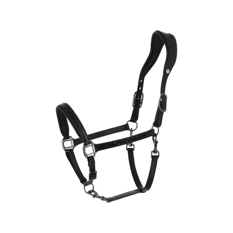 Norton - Licol anatomique Crystal noir