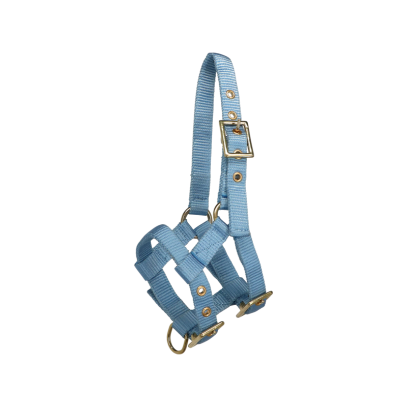 Norton - Cabresto regulável mini azul-céu