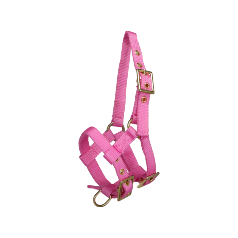 Norton - Cabresto regulável mini rosa