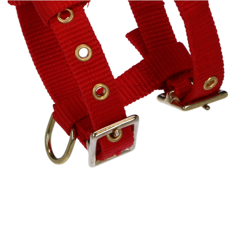 Norton - Adjustable Mini Red Halter