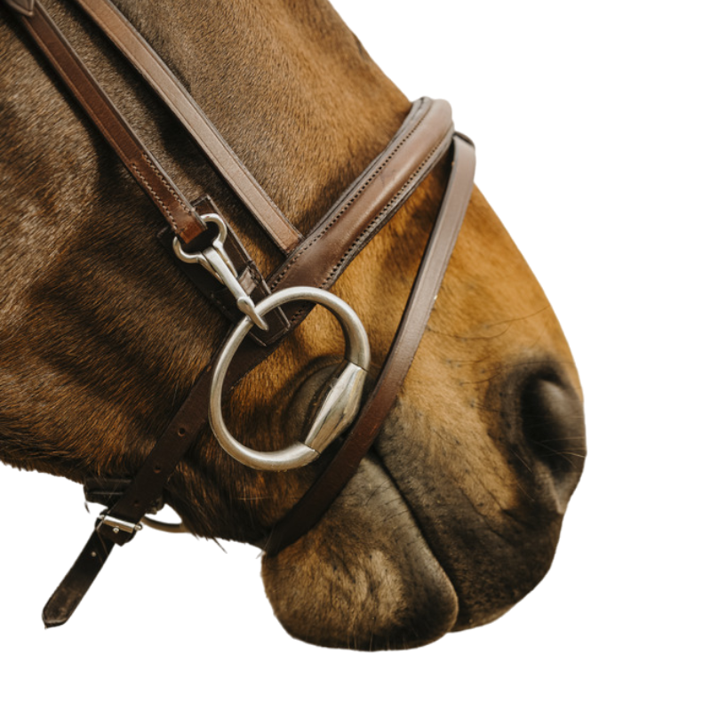 Norton - Easy havana bridle | - Ohlala