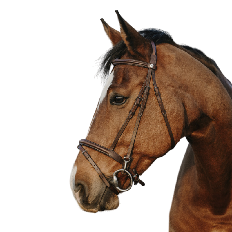 Norton - Easy Bridle havana | - Ohlala