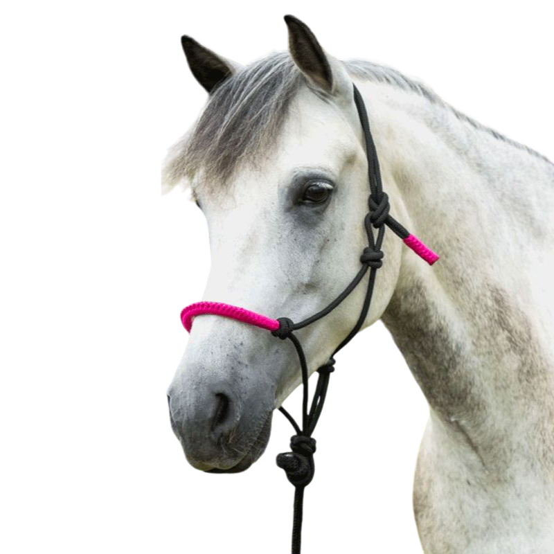 Norton - Licol éthologique et longe Fun colour noir/fuschia | - Ohlala