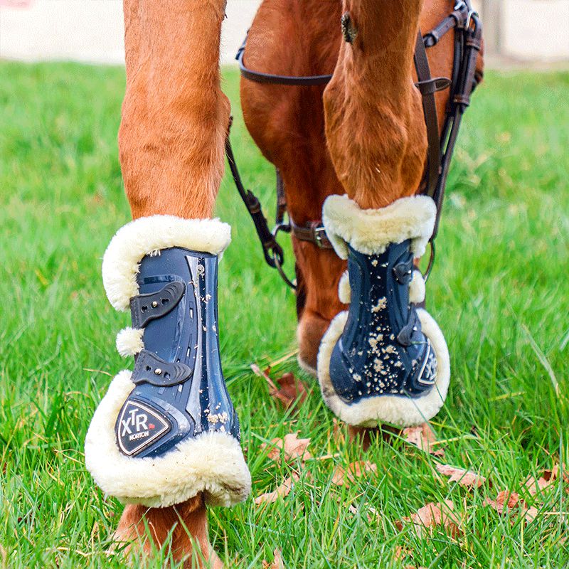 Norton - Polainas caballo XTR con botones borreguillo azul marino | - Ohlala
