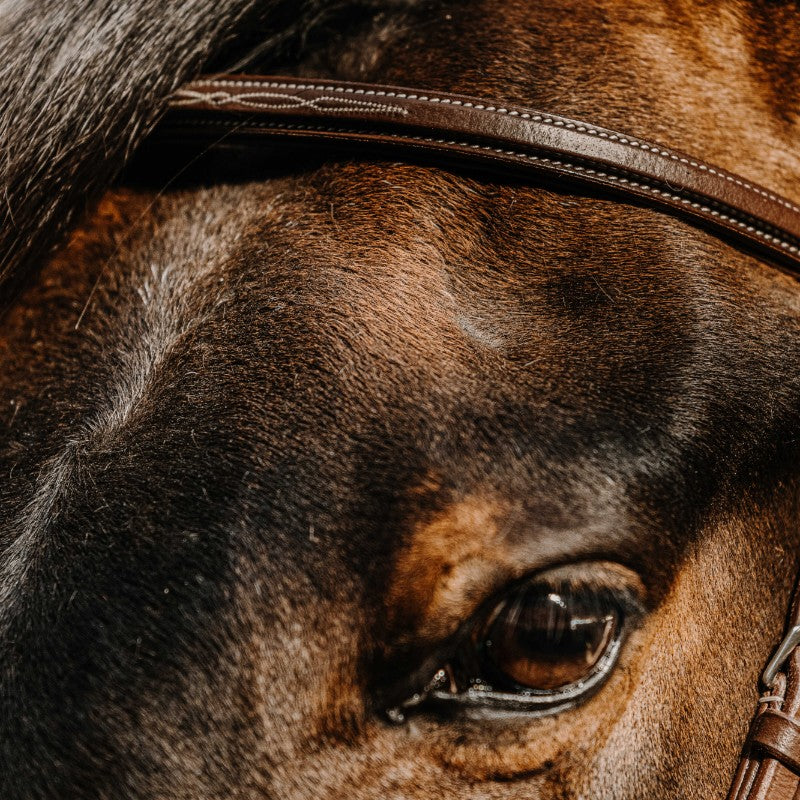 Norton - Bridon Hunter en cuir havane | - Ohlala