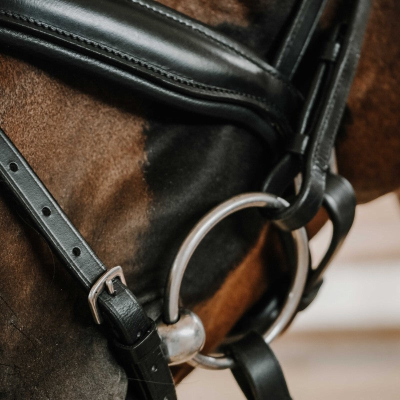 Norton - Bridon de dressage Diams noir | - Ohlala