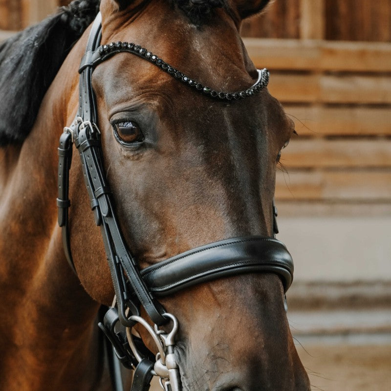 Norton - Bridon de dressage Onyx noir | - Ohlala