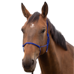 Norton - Soft ethological royal blue headcollar | - Ohlala