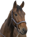 Norton - Halster en leidsel glanzend taupe/ marine/ zilver | - Ohlala