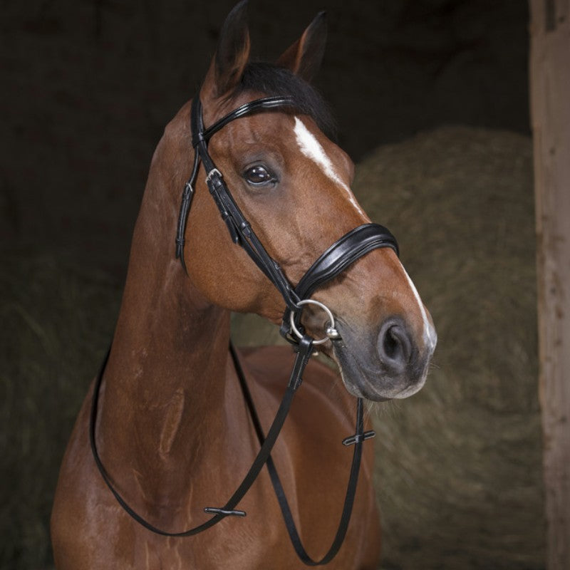 Norton - Trensenzügel 16mm schwarz Pony | - Ohlala