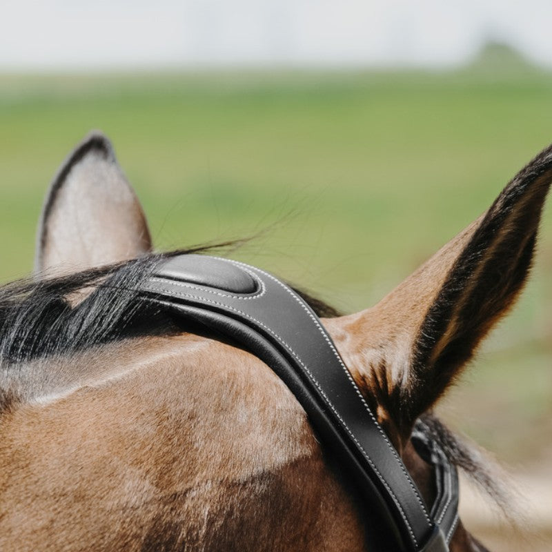 Norton - Bridon Freedom noir | - Ohlala