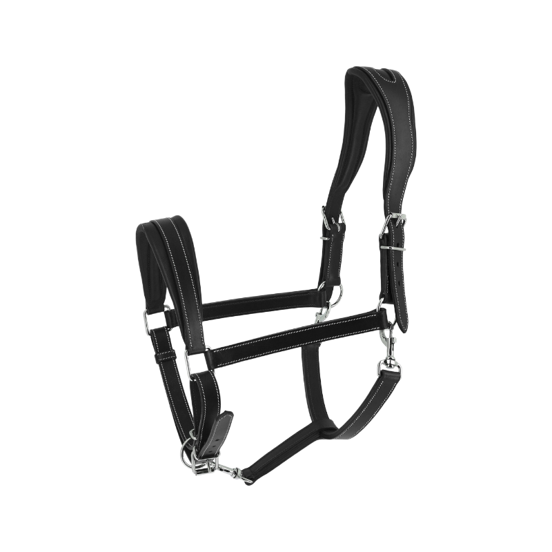 Norton - Black Ardennais Headcollar | - Ohlala