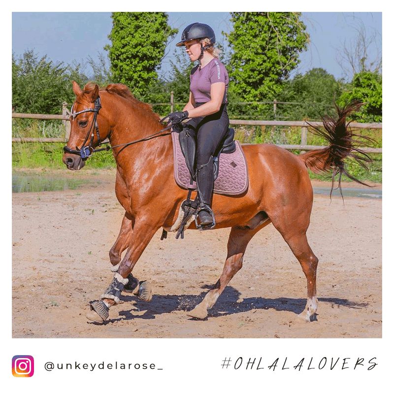 Kentucky Horsewear - Velvet Parme dressagezadeldek | - Ohlala