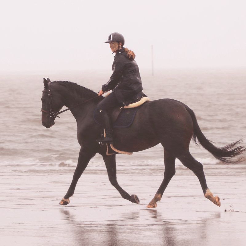 Kentucky Horsewear - Sattelgurt mit Lammfell-Schutzlatz braun | - Ohlala