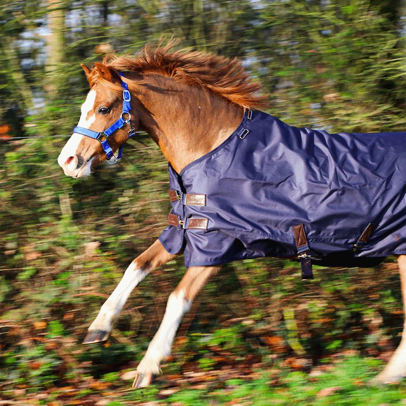 Kentucky Horsewear - Derka zewnętrzna dla kucyków granatowa 0g | - Ohlala