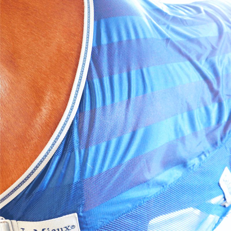 LeMieux - Coperta asciugante Arika Air-Tek blu navy | - Ohlala