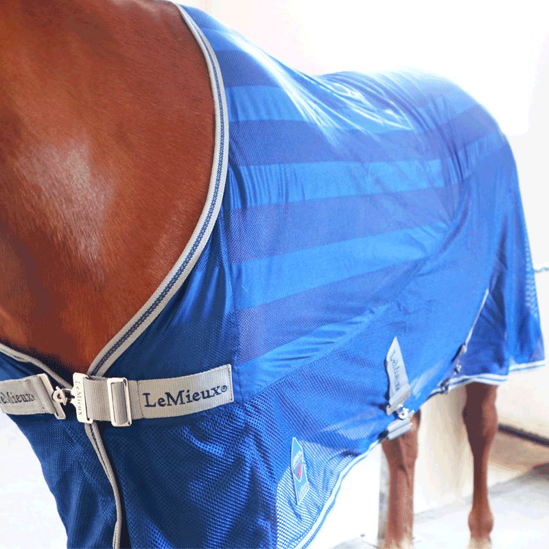 LeMieux - Coperta asciugante Arika Air-Tek blu navy | - Ohlala