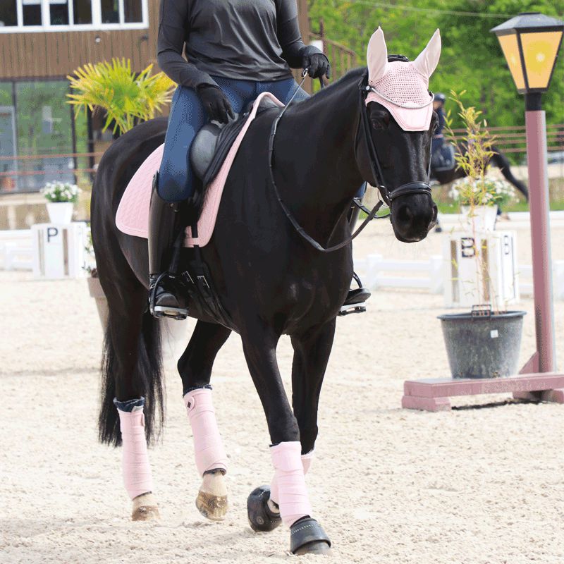 Kentucky Horsewear - Bonnet Wellington Velvet pearls rosa | - Ohlala