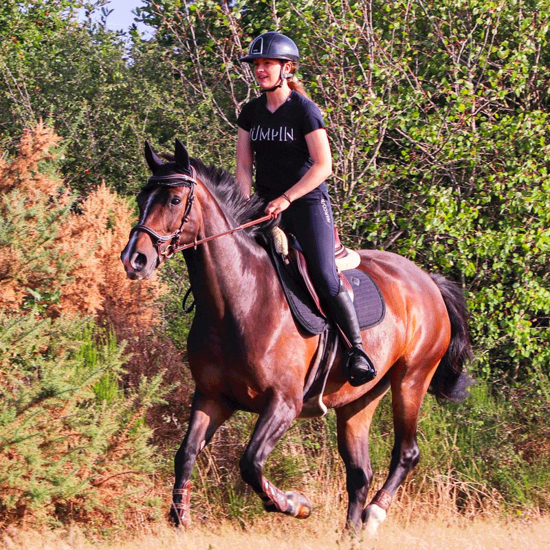 Flex On - Safe On IUG Safety Stirrups Black / Black / Black | - Ohlala