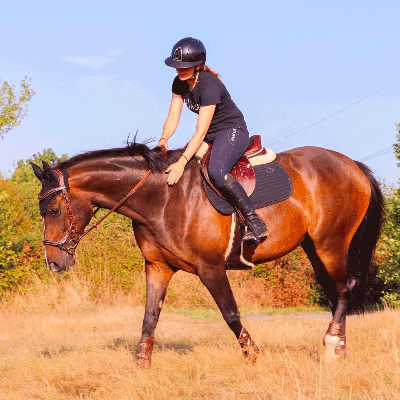 Flex On - Safe On IUG Safety Stirrups Black / Black / Black | - Ohlala