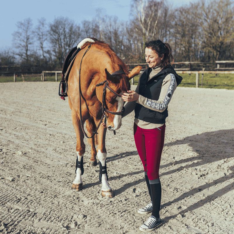 Flags & Cup - Pantalon d'équitation Cayenne enfant Bordeaux | - Ohlala