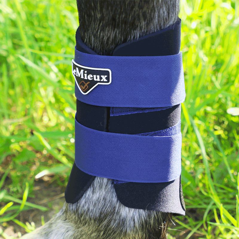 LeMieux - Grafter Closed Boots Black/Navy | - Ohlala