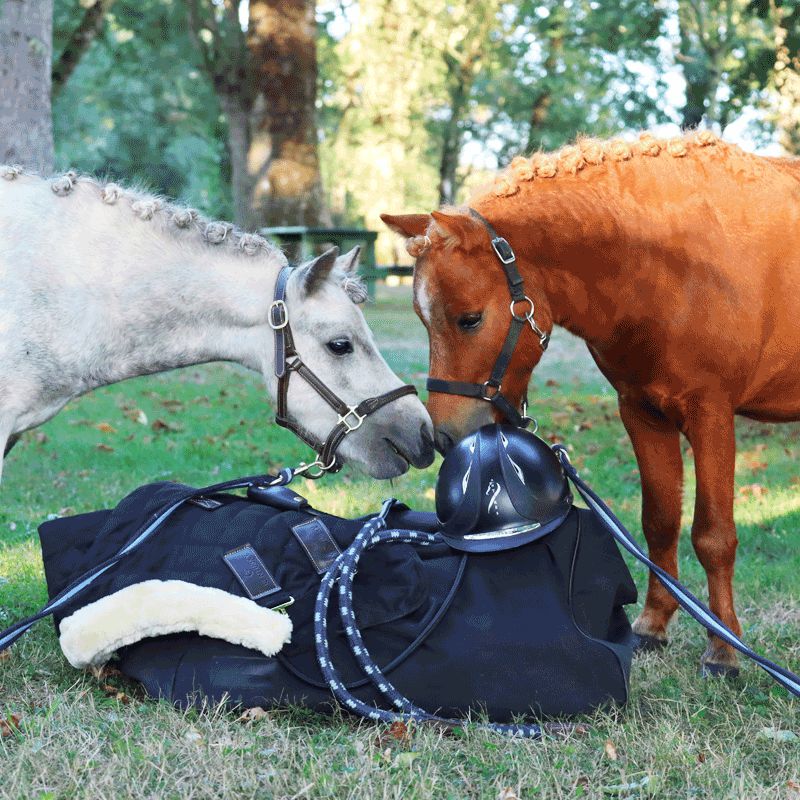 Antarès Sellier - Leather and Rope Lunge Line Havana / Navy | - Ohlala