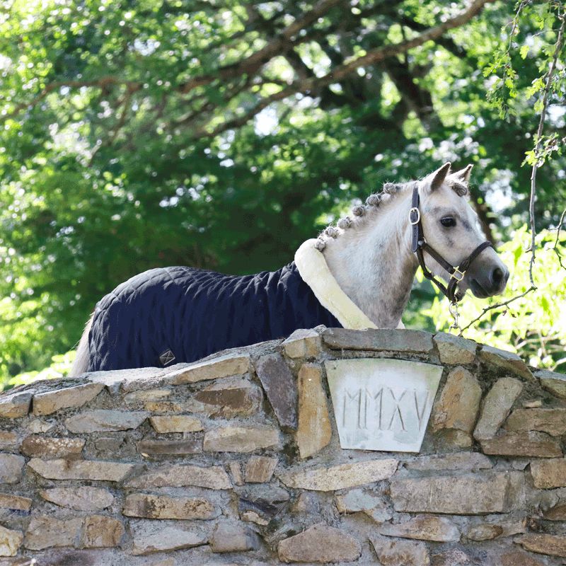 Kentucky Horsewear - Skórzany kantar z barankiem dla Kucyków | - Ohlala