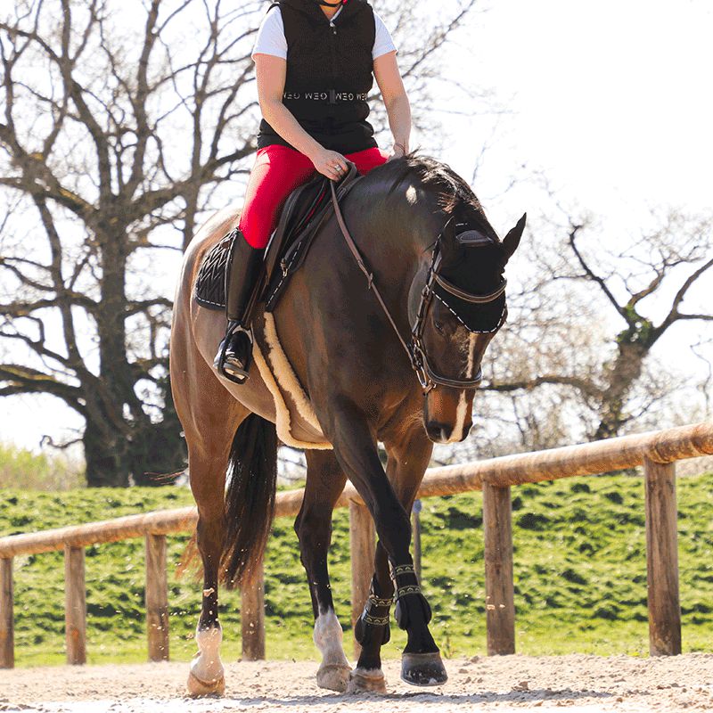 Kentucky Horsewear - Sattelgurt mit Lammfell-Schutzlatz braun | - Ohlala