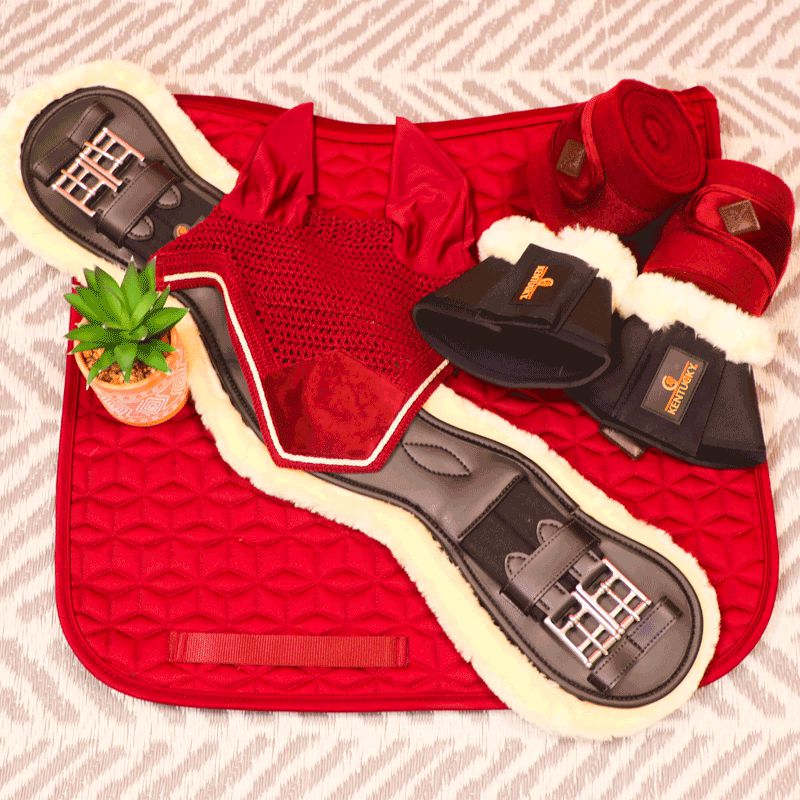Kentucky Horsewear - Sottosella da dressage Basic bordeaux | - Ohlala