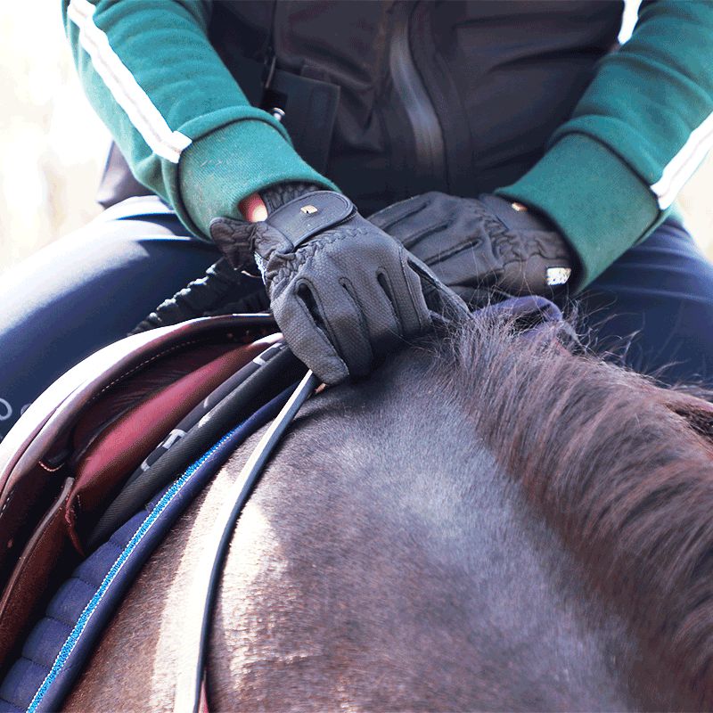 Roeckl - Grip Black Riding Gloves | - Ohlala