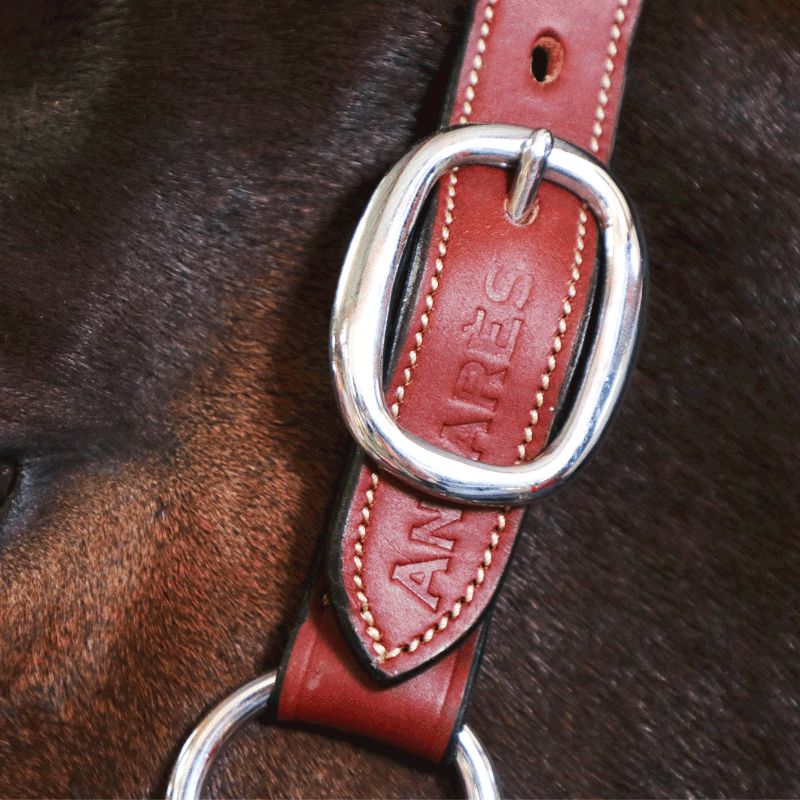 Antarès Sellier - Cavezza foderata in pelle marrone | - Ohlala