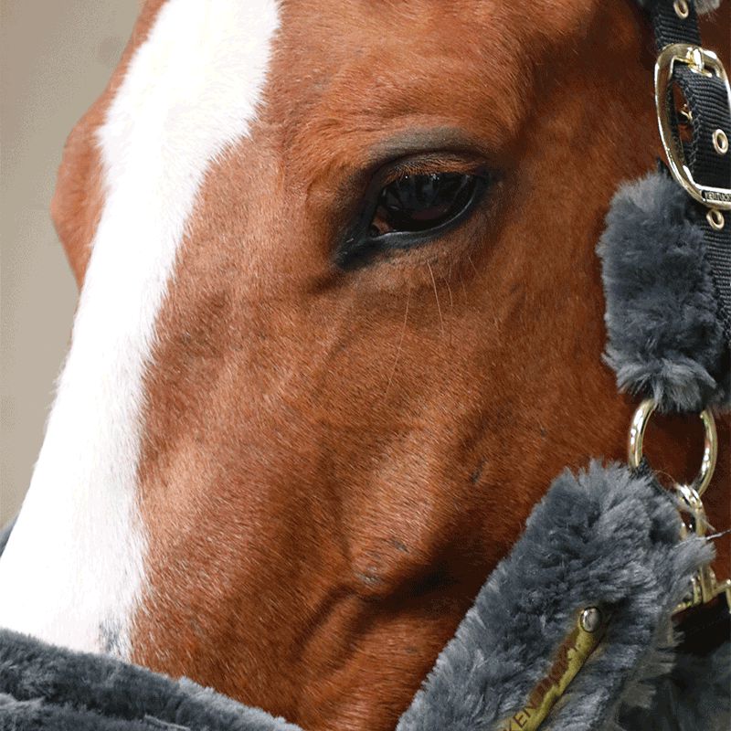 Kentucky Horsewear - Grey Sheepskin Transport Headcollar | - Ohlala