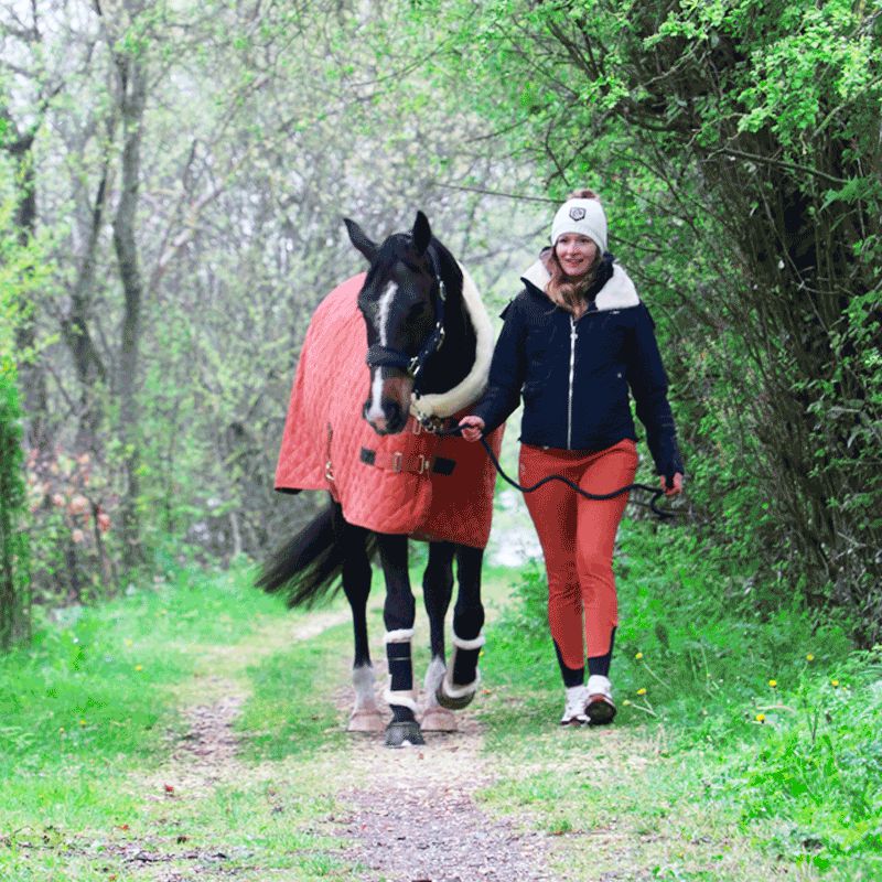 Kentucky Horsewear - Navy velvet headcollar | - Ohlala