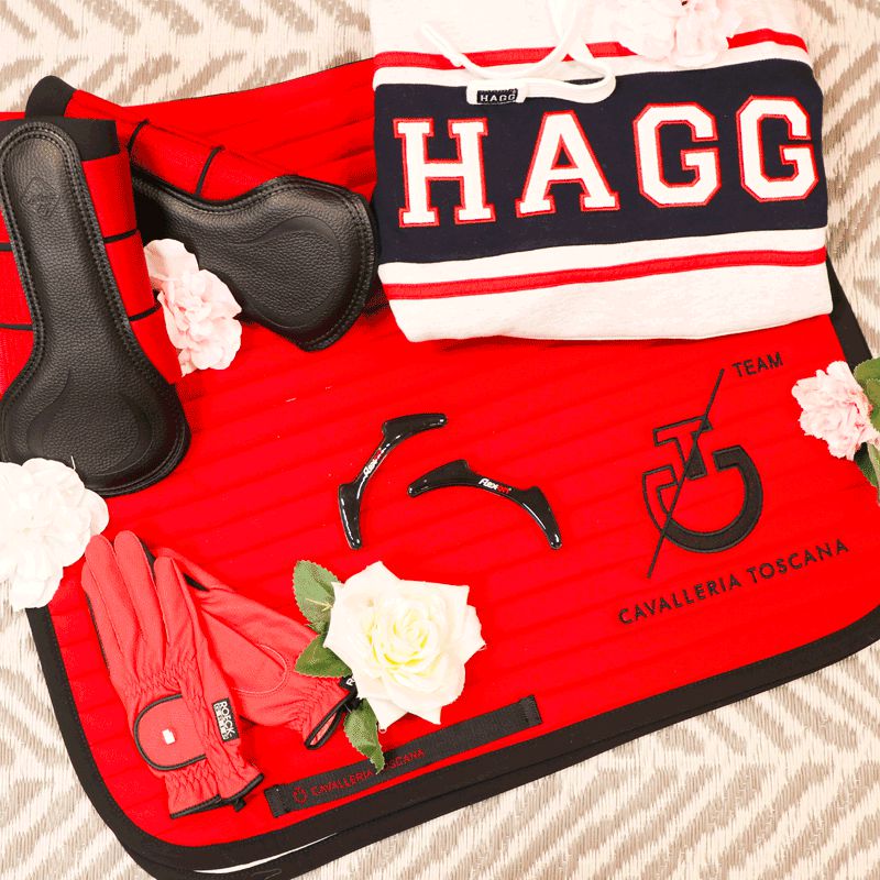 Hagg - Sudadera con capucha gris | - Ohlala