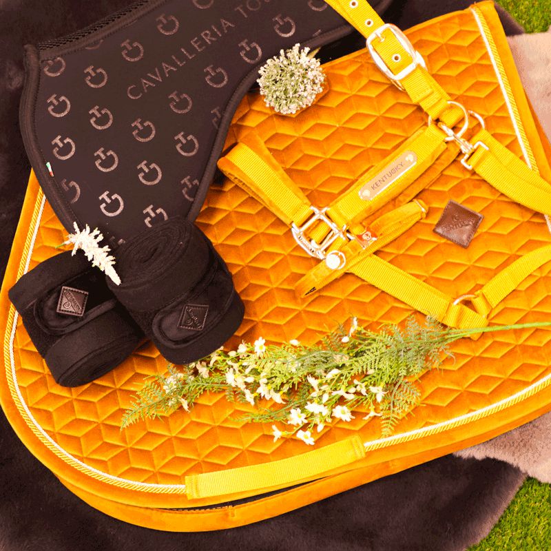 Kentucky Horsewear - Cabezada Velvet mostaza | - Ohlala