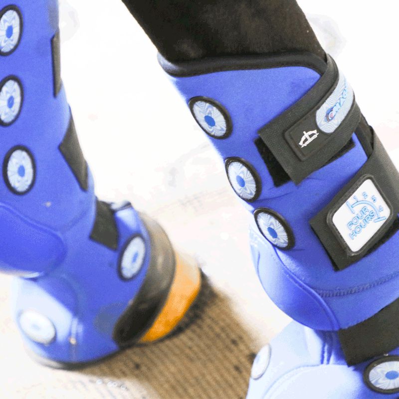 Veredus - Magnetik 4 Hours Hind Stable Boots | - Ohlala
